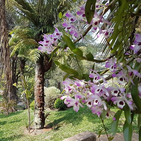 Residencia No Centro De Gramado Villa Ngoại thất bức ảnh